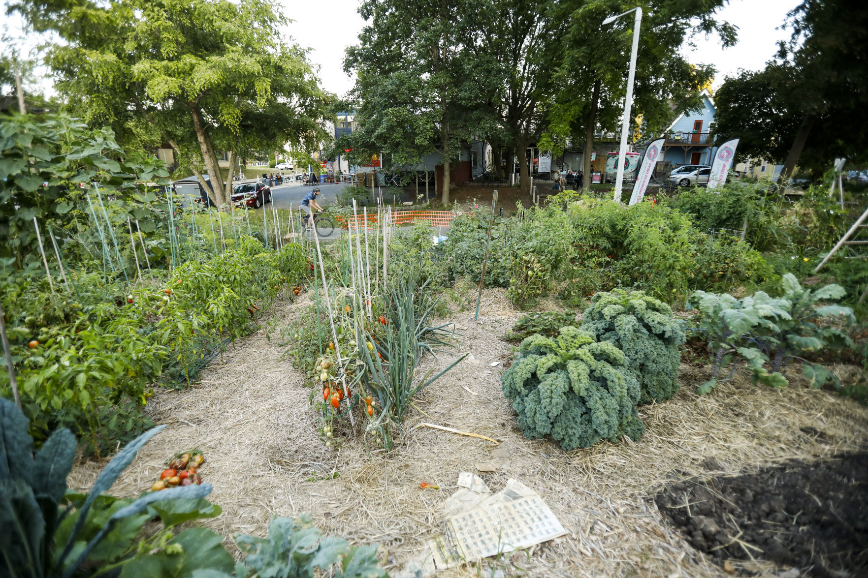Community Gardens 080920 18-08092020174519
